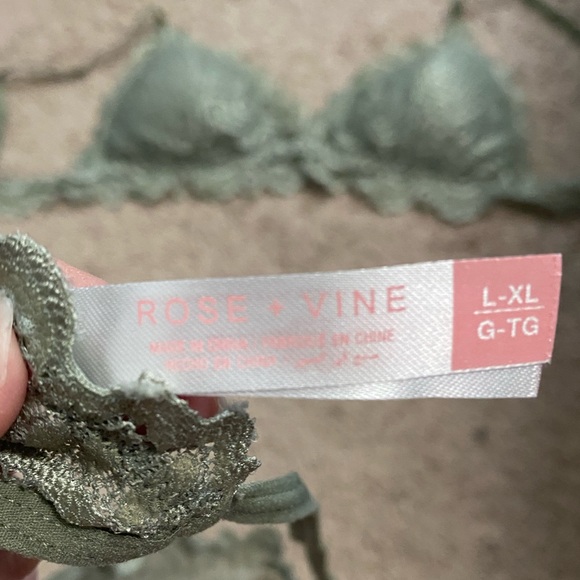 NWOT Bra and Pantie set - Picture 6 of 6